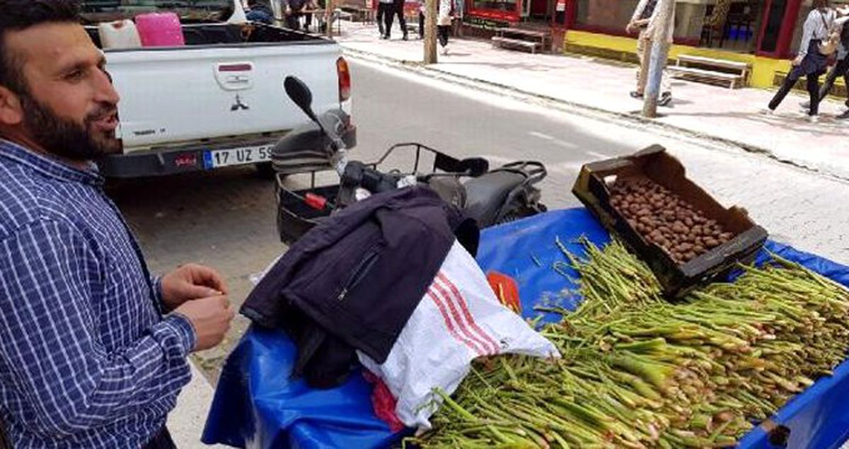 Işgın Bitkisi Köylülerin Geçim Kaynağı Oldu