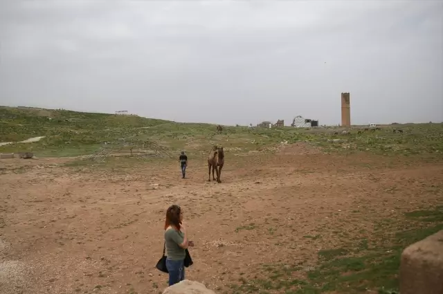 Güneydoğu, Bayramı Şimdiden 'Doldurdu' Güneydoğu, Bayramı Şimdiden 'Doldurdu'