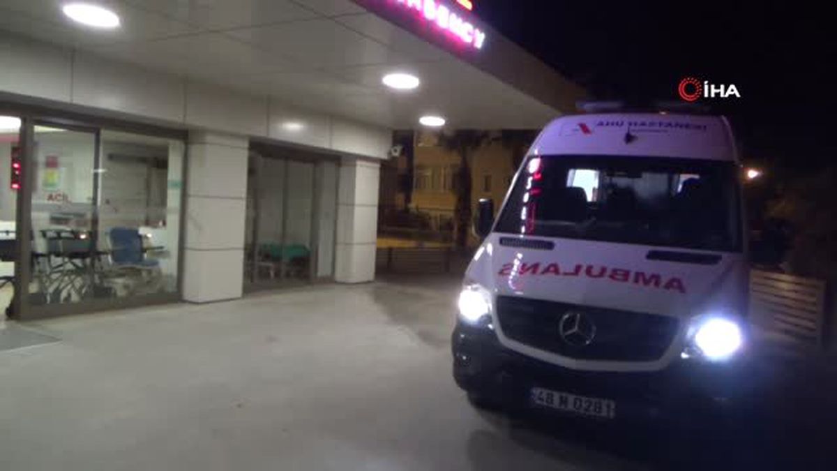 İngiliz Turist Organlarıyla Hayat Verdi