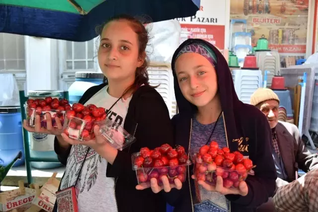 Lapseki Kirazı 20 Liradan Tezgahlarda Yerini Aldı