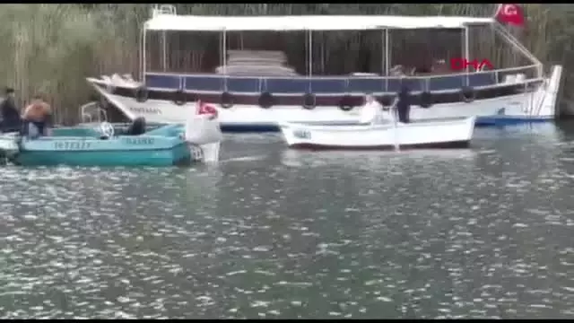 Muğla İskeleye Yüzmek İsteyen Genç Boğuldu