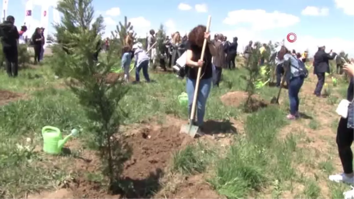Avrupa Günü' Etkinlikleri Kapsamında Fidan Dikildi