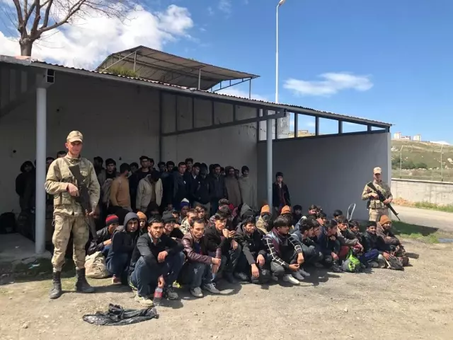 Van'da 106 Kaçak Göçmen Yakalandı