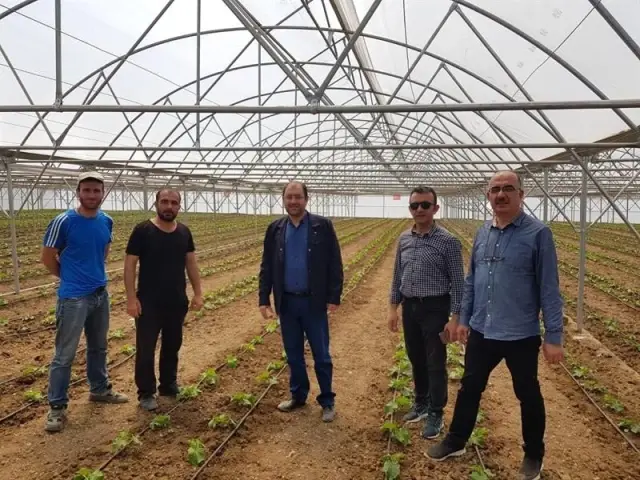 Seracılık Erzincan'da Büyüyor Seracılık Erzincan'da Büyüyor