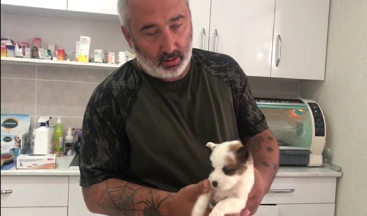 Yavru Köpeğe Hidrosefali Şüphesi