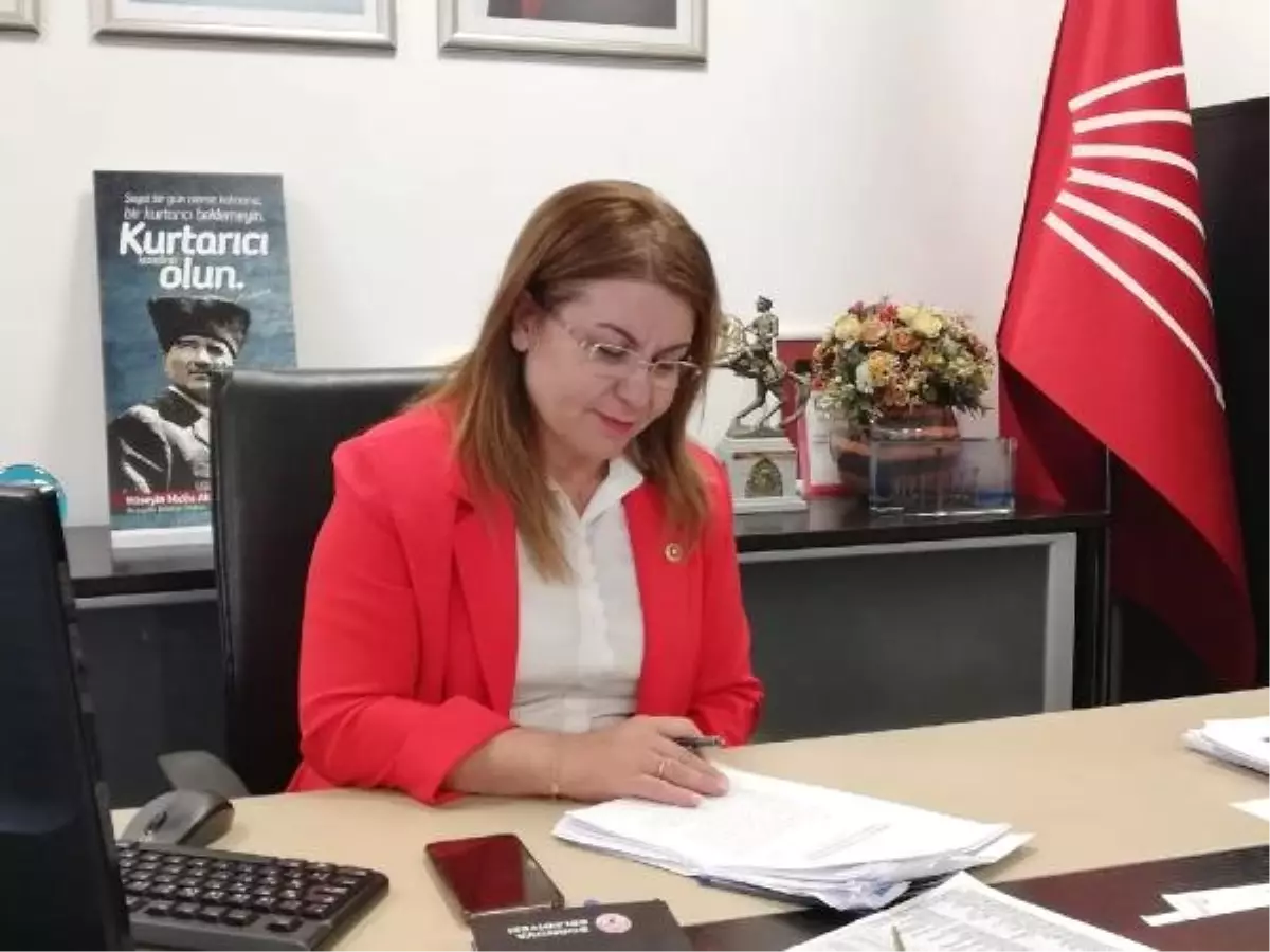 CHP'li Karaca: İstanbul'da Hizmet İçin Desteklerini İsteyeceğiz