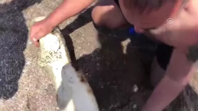 Denizde Kadın Heykeli Bulundu Denizde Kadın Heykeli Bulundu