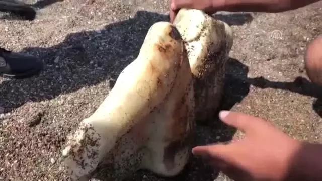Denizde Kadın Heykeli Bulundu Denizde Kadın Heykeli Bulundu