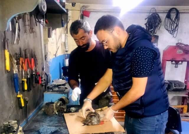 Kaplumbağayı Kaportacıda Hayata Döndürdüler