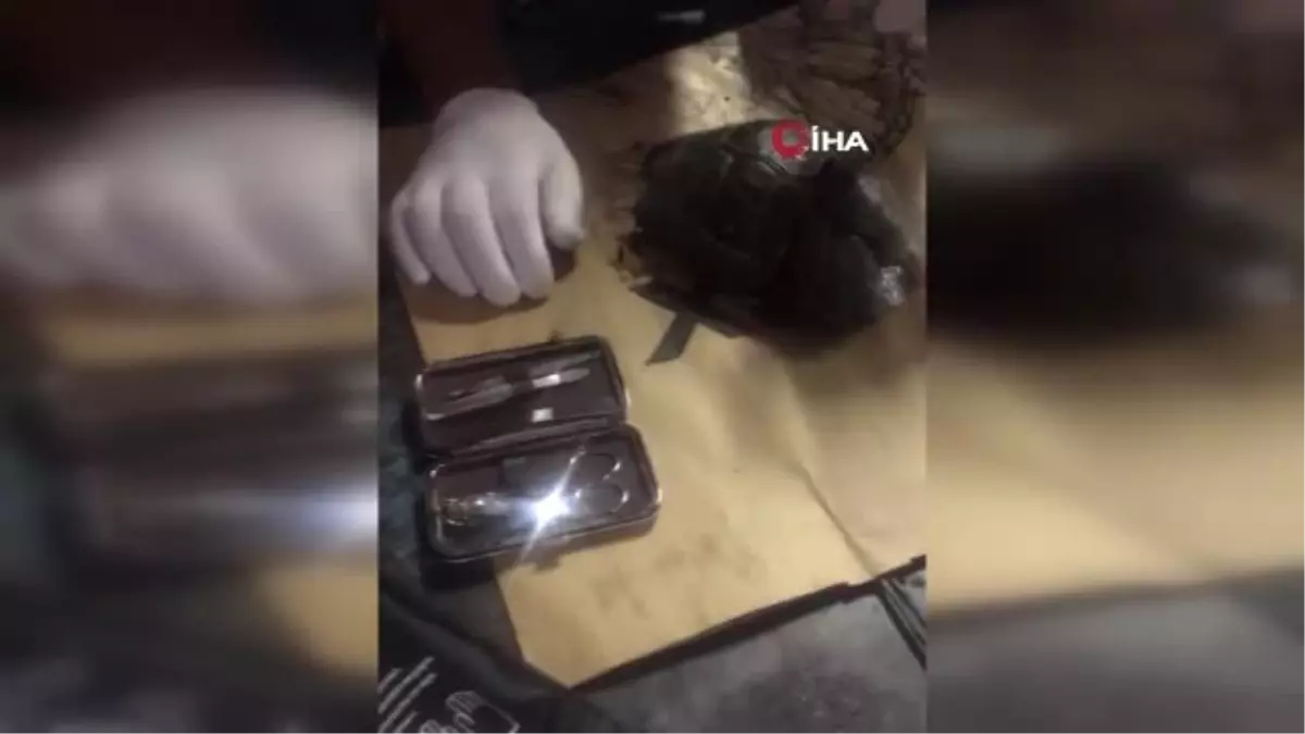 Kaplumbağayı Kaportacıda Hayata Döndürdüler