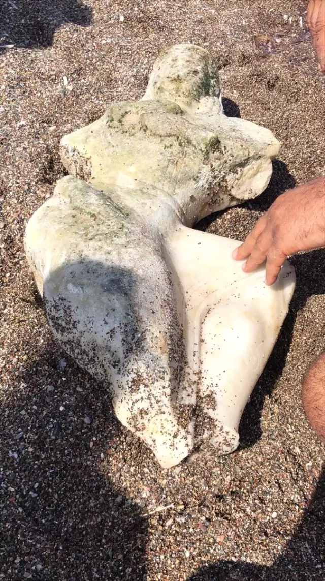 Muğla'da Denizde Kadın Heykeli Bulundu Muğla'da Denizde Kadın Heykeli Bulundu