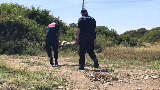 Muğla'da Denizde Kadın Heykeli Bulundu Muğla'da Denizde Kadın Heykeli Bulundu