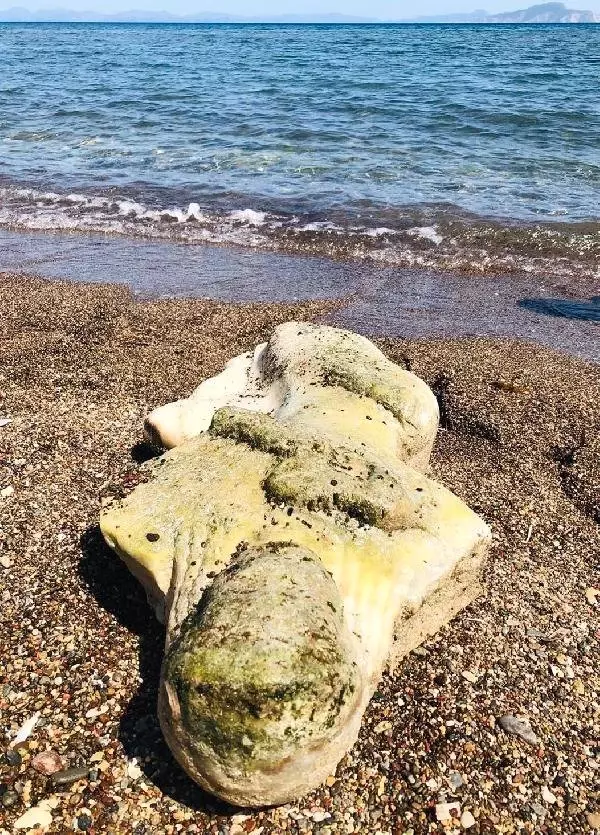Deniz Dibinden Tarih Çıktı Deniz Dibinden Tarih Çıktı