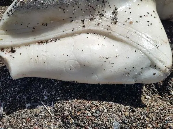 Deniz Dibinden Tarih Çıktı Deniz Dibinden Tarih Çıktı