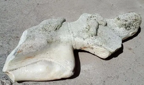 Deniz Dibinden Tarih Çıktı Deniz Dibinden Tarih Çıktı