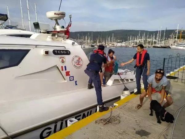 Piknik Yaparken Yabani Hayvanların Saldırdığı 5 Kişiyi Sahil Güvenlik Kurtardı