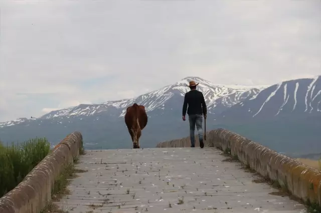 Bendi Mahi Köprüsü'ne Ziyaretçi İlgisi