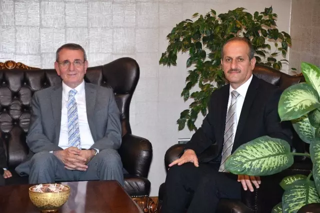 Murzioğlu:
