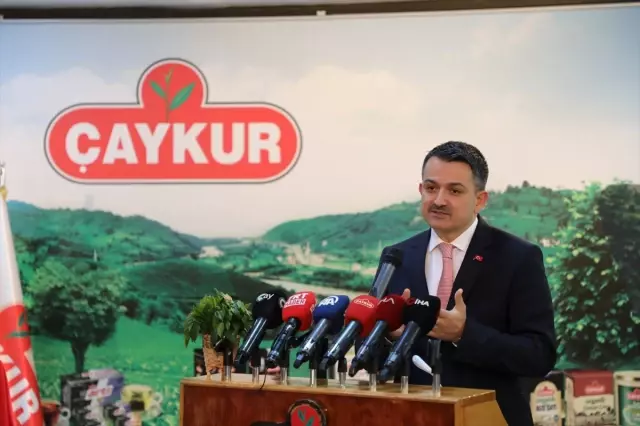 Yaş Çay Alım Fiyatı Açıklandı (2) Yaş Çay Alım Fiyatı Açıklandı (2)