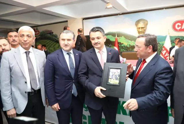 Yaş Çay Alım Fiyatı Açıklandı (2) Yaş Çay Alım Fiyatı Açıklandı (2)