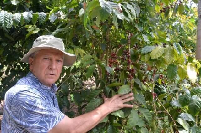 Türkiye'de İlk Kez Kahve Meyvesi Üretti