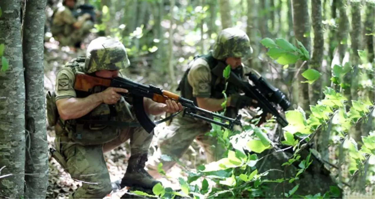 Karadeniz'de PKK'ya Göz Açtırmıyorlar! Kawa Teslim Oldu, Aras'ın Peşine Düştüler