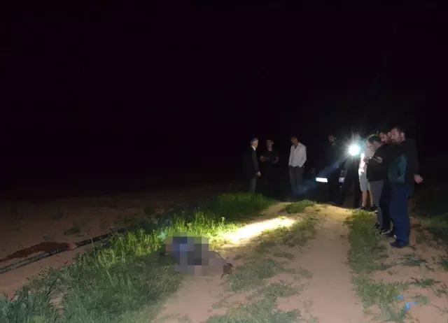 Konya'da Bir Kişi Tarlada Ölü Bulundu Konya'da Bir Kişi Tarlada Ölü Bulundu