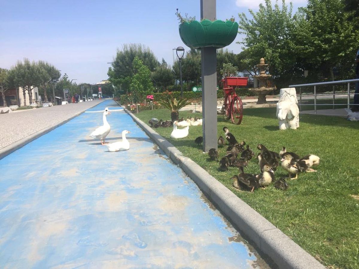 Atatürk Kent Park Manisa'nın Cazibe Merkezi
