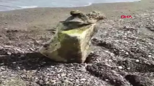 Muğla Yavru Aslanı Emziren Mermer Kadın Heykelinin Diğer Yarısı da Bulundu Muğla Yavru Aslanı Emziren Mermer Kadın Heykelinin Diğer Yarısı da Bulundu
