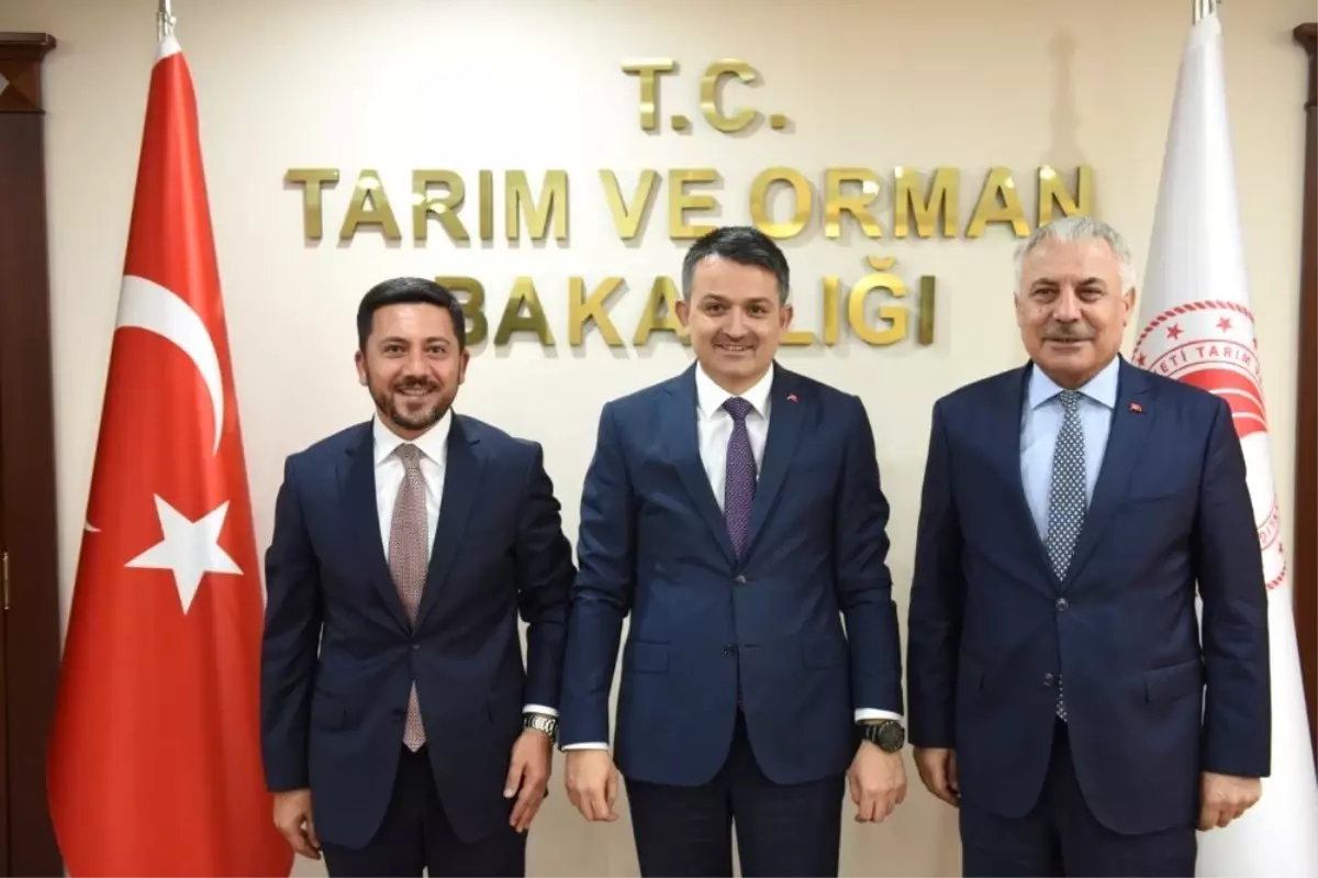 Tarım ve Orman Bakanı Pakdemirli, Nevşehir'e Müjde Verdi