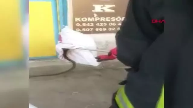 Bursa Torna Atölyesine Giren Yılan İtfaiye Ekipleri Tarafından Yakalandı