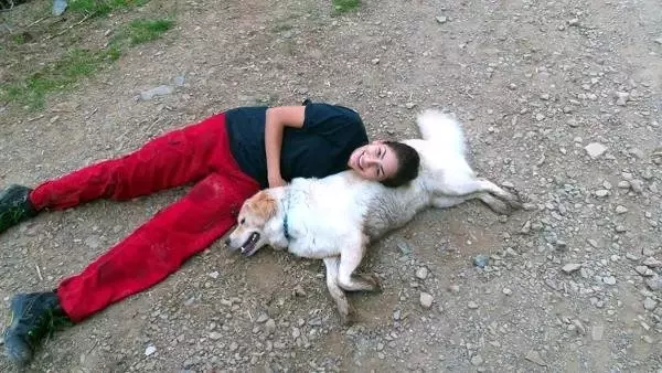 Otomobil Uçuruma Yuvarlandı, İlayda Ağır Yaralandı Otomobil Uçuruma Yuvarlandı, İlayda Ağır Yaralandı
