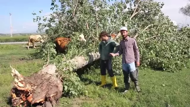 Amasya'da sağanak ve dolu etkili oldu (2)