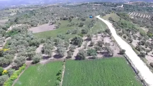 Lezzet ve şifa deposu zahter geçim kaynakları oldu - HATAY Lezzet ve şifa deposu zahter geçim kaynakları oldu - HATAY