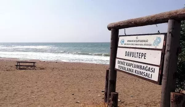 Sahil şeridindeki konser tartışmaya yol açtı Sahil şeridindeki konser tartışmaya yol açtı