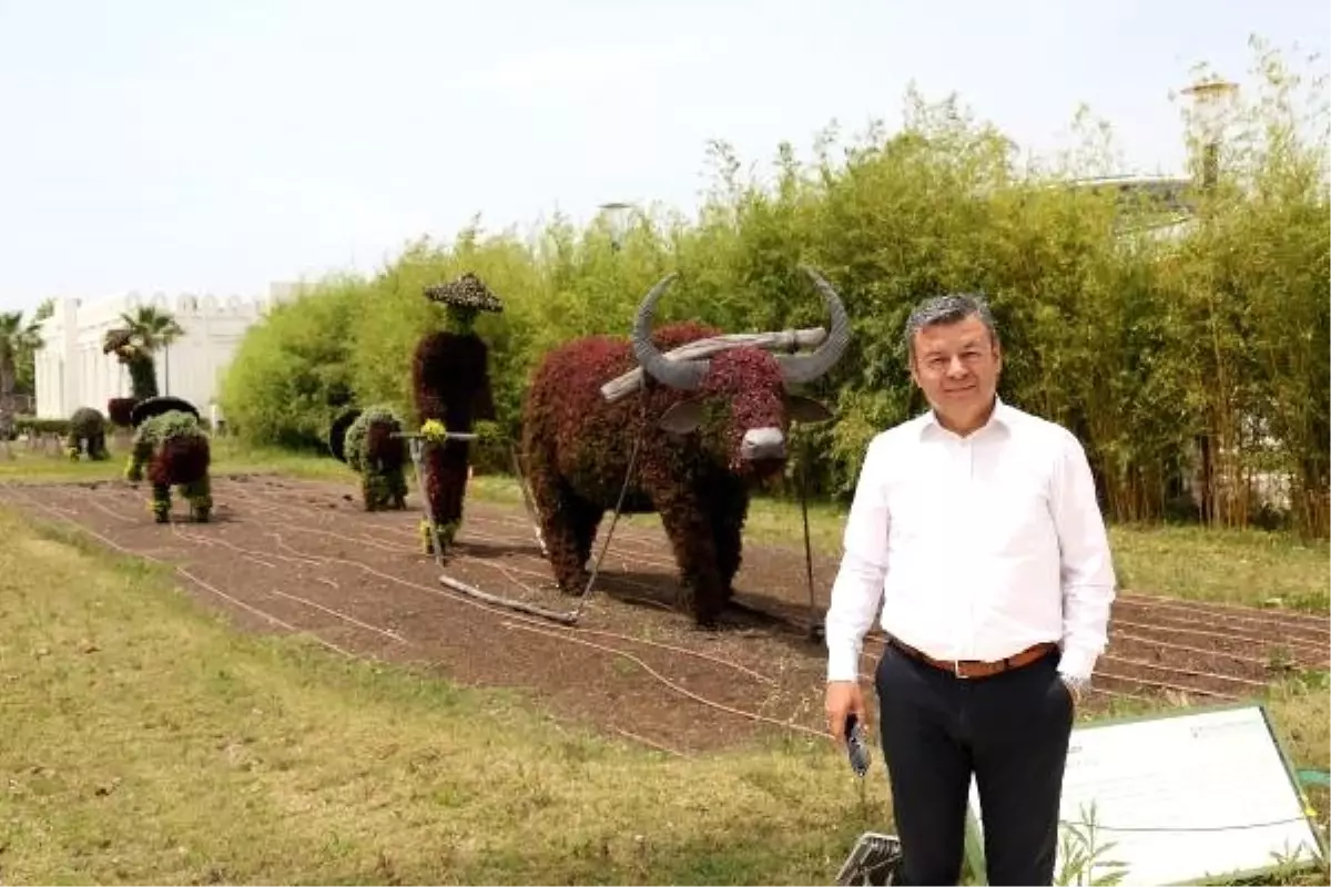 Expo'daki canlı bitkiler küllerinden doğdu
