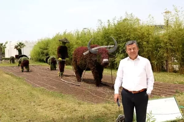 Expo'daki canlı bitkiler küllerinden doğdu Expo'daki canlı bitkiler küllerinden doğdu
