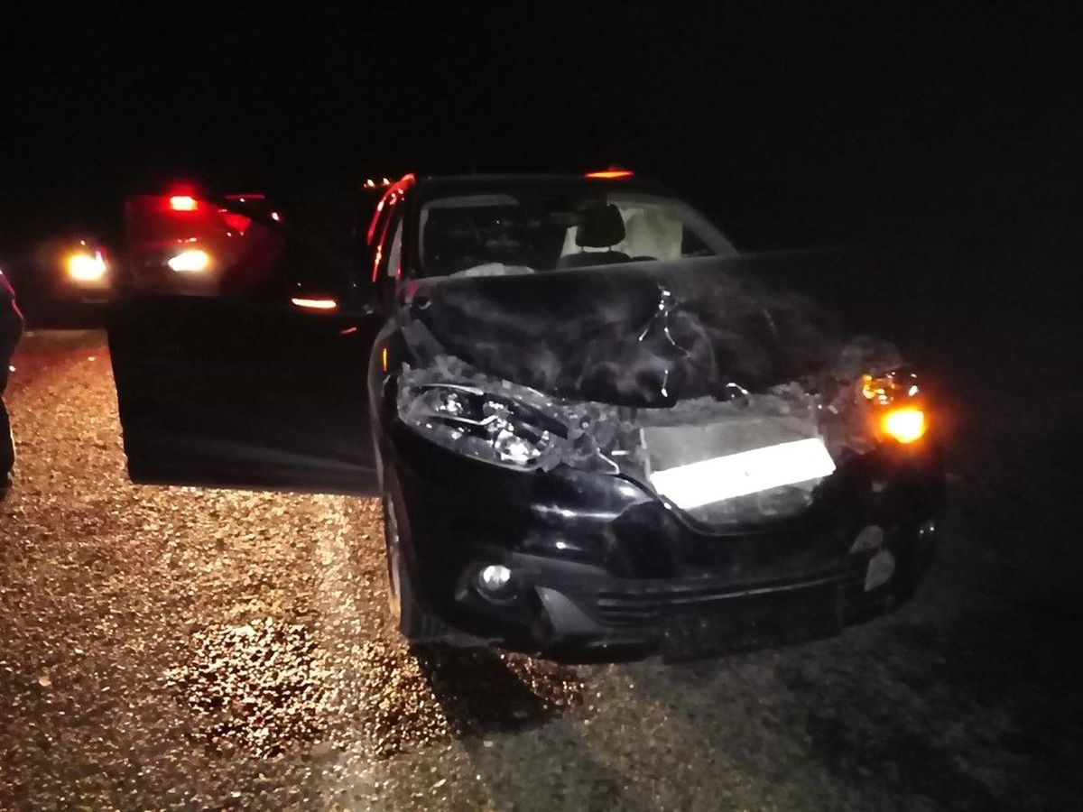 Gercüş'te otomobilin çarptığı eşek telef oldu