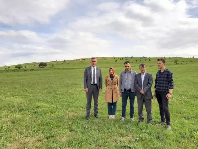 Gümüşhane meraları ıslah ediliyor Gümüşhane meraları ıslah ediliyor