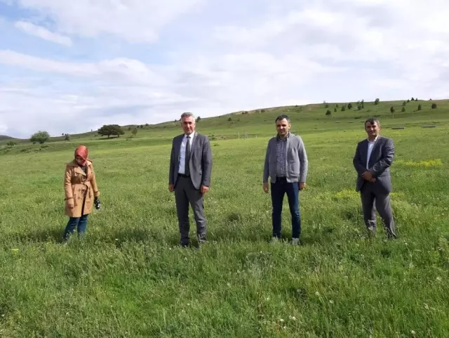 Gümüşhane meraları ıslah ediliyor Gümüşhane meraları ıslah ediliyor