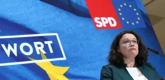 Sosyal Demokrat Parti: Irkçılık korkusu Avrupa Parlamentosu seçimlerine katılımı arttırdı Sosyal Demokrat Parti: Irkçılık korkusu Avrupa Parlamentosu seçimlerine katılımı arttırdı