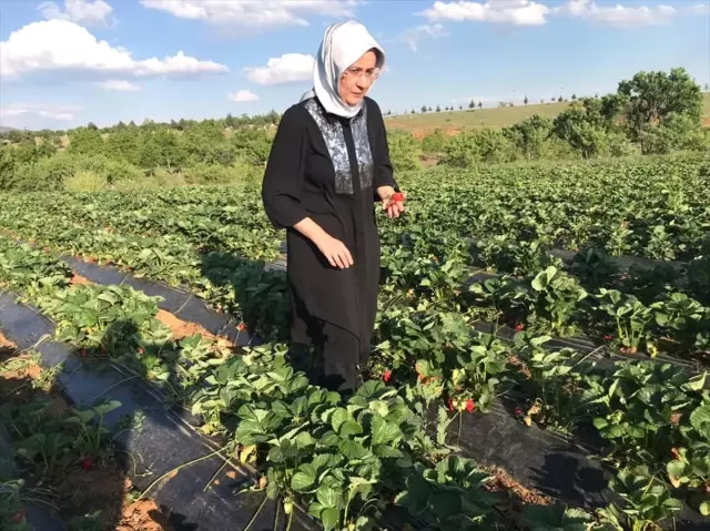 Konya Milletvekili Samancı ilçe ziyaretlerinde Konya Milletvekili Samancı ilçe ziyaretlerinde