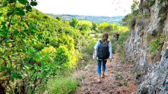 17 Bin Ağaç Kesilecek! Ballıkayalar Milli Parkı'ndan Otoyol Geçirilmesine Onay Verildi