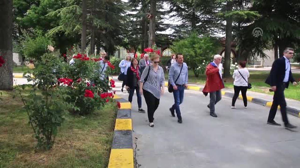 Kapıkule Sınır Kapısı'na 'uluslararası' inceleme