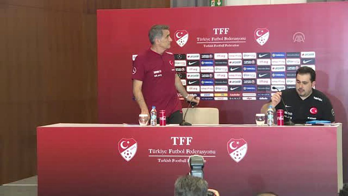 Şenol Güneş: '(Fransa ve İzlanda maçları) İki maç da kritik olacak'