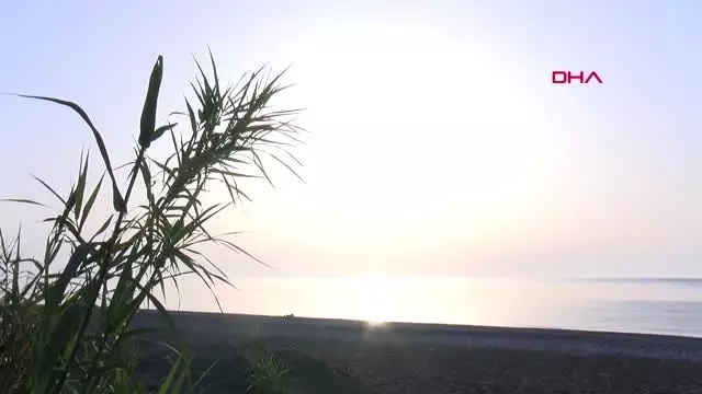 ANTALYA ÇIRALI'DA CARETTA SEVİNCİ ANTALYA ÇIRALI'DA CARETTA SEVİNCİ