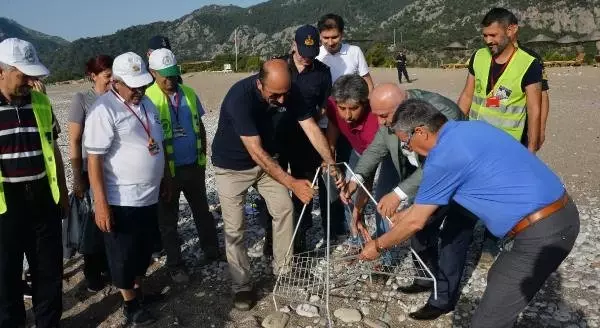 Çıralı'da caretta caretta sevinci Çıralı'da caretta caretta sevinci