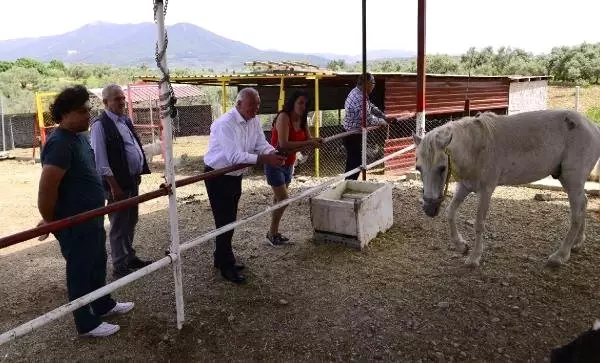 Belediye Başkanı Çakır'dan şiddet gören hayvanların yaşadığı barınağa destek sözü