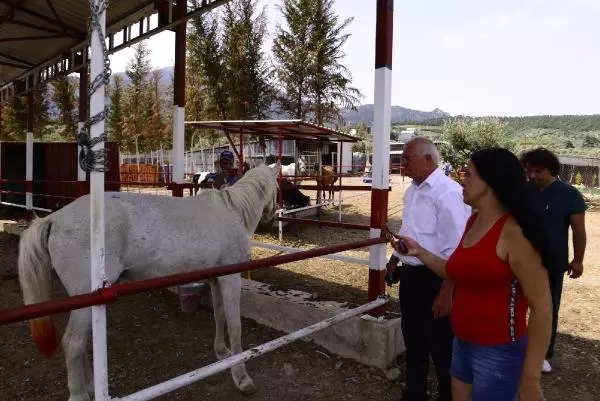 Belediye Başkanı Çakır'dan şiddet gören hayvanların yaşadığı barınağa destek sözü