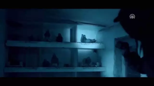 Sinema - 'Güvercin Hırsızları' Sinema - 'Güvercin Hırsızları'